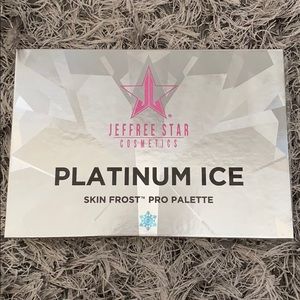 Platinum Ice Palette